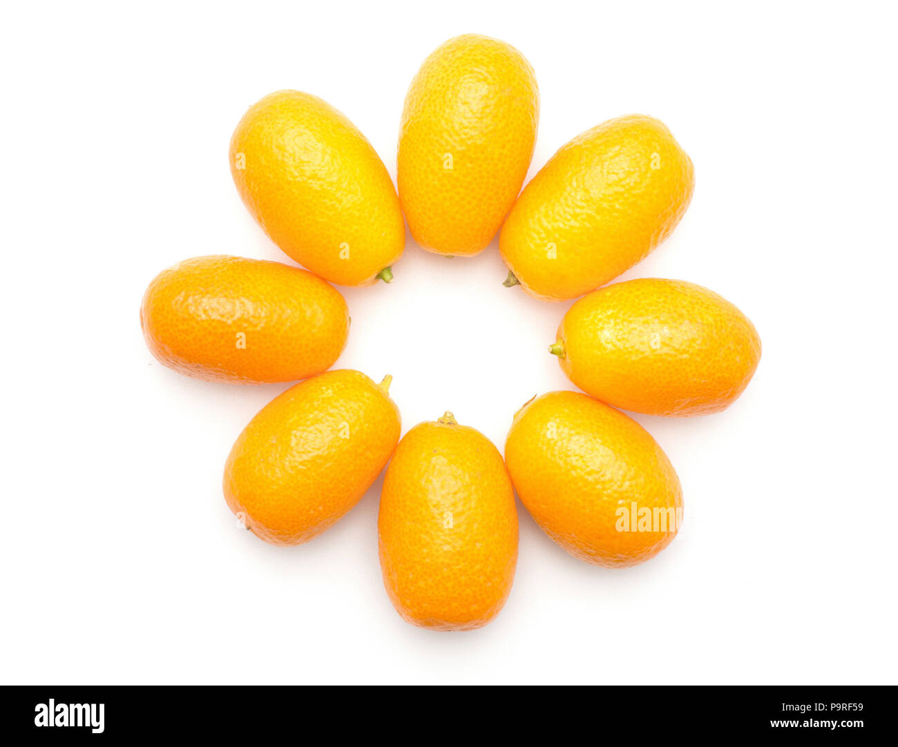 Kumquat plié en haut fleur voir isolé sur fond blanc Banque D'Images