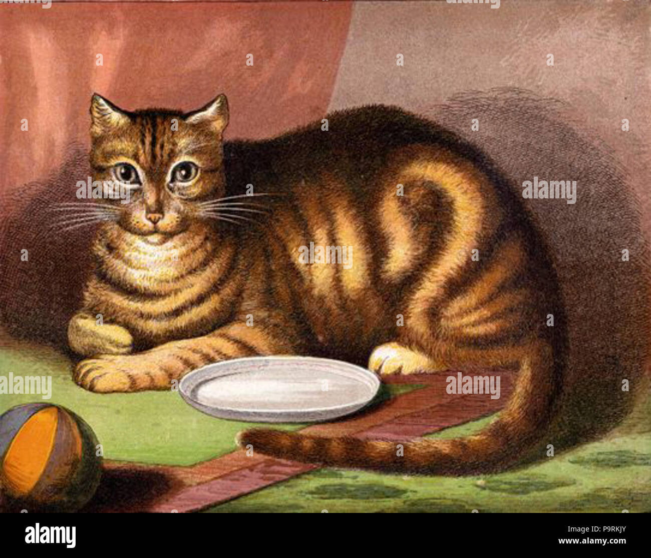 . (Retiré après demande. reusableart) . circa 1872 dessin brun Chat 252 Banque D'Images