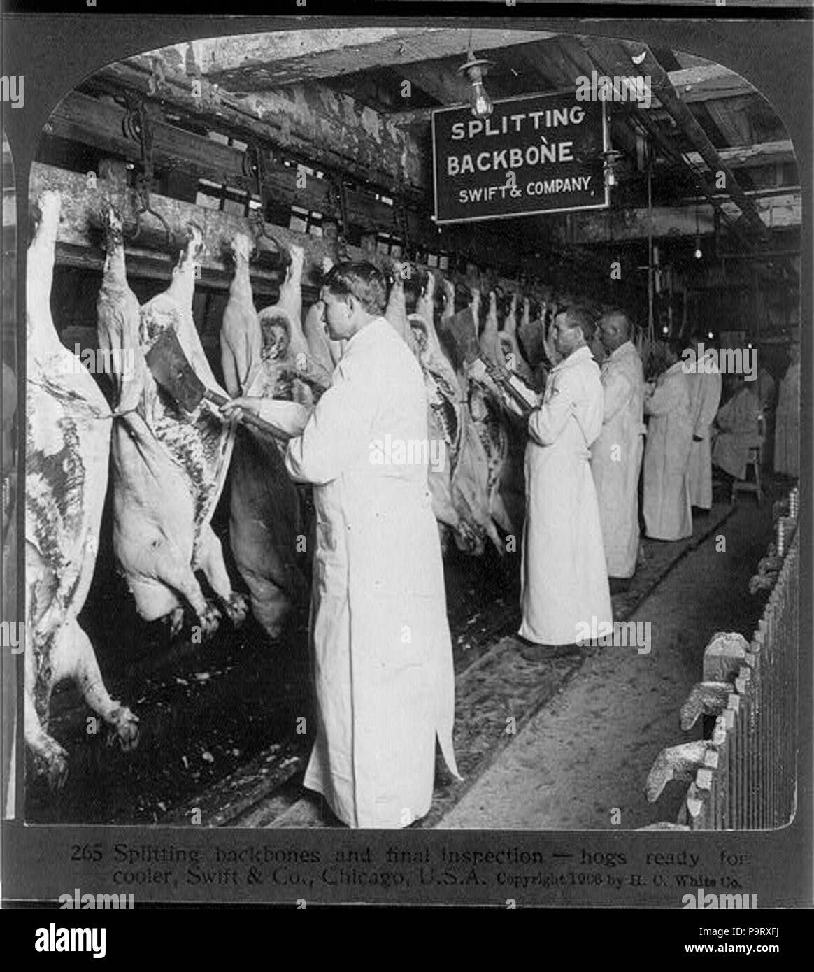 Meat inspection Banque d'images noir et blanc - Alamy