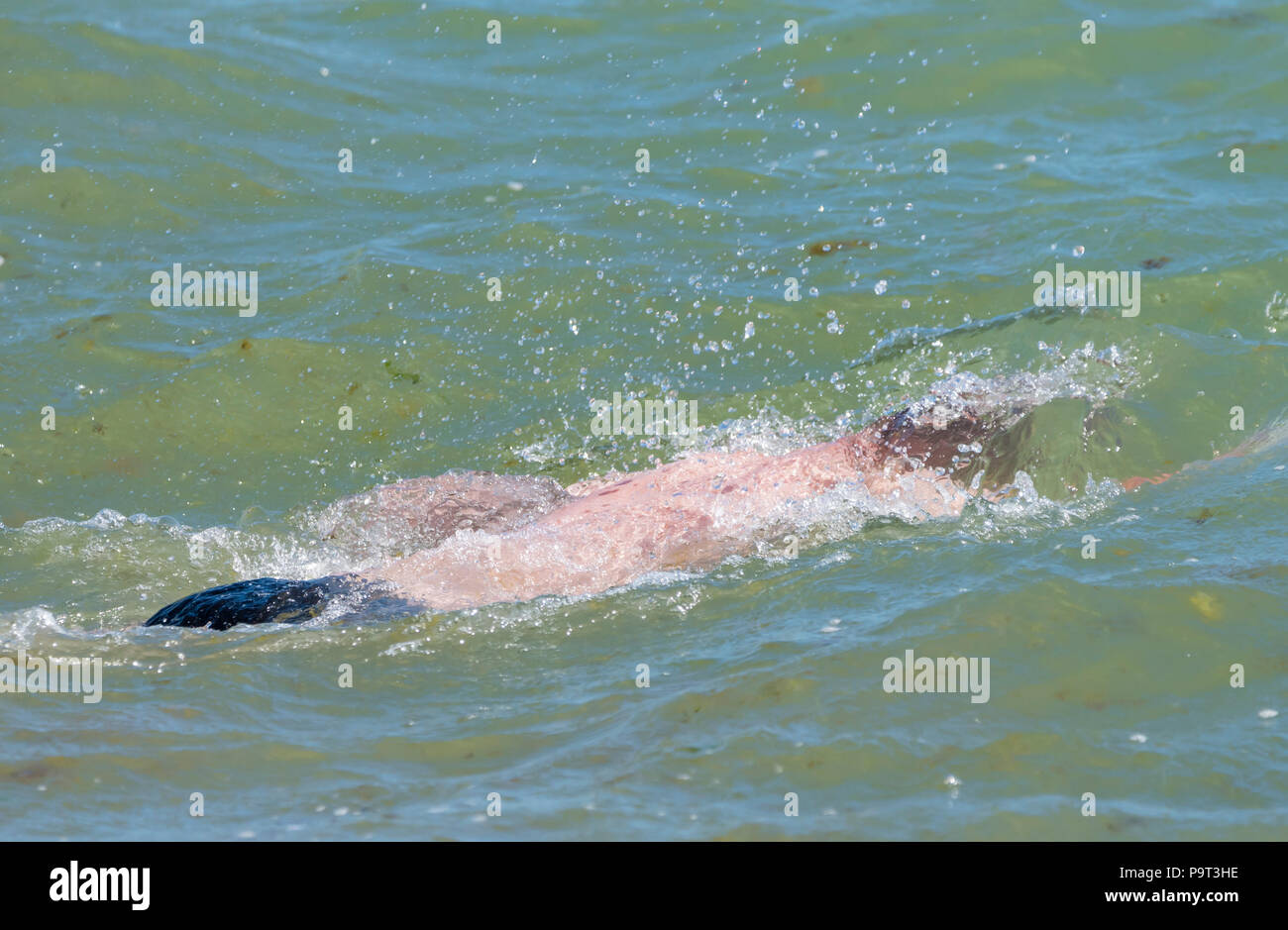 Homme nager dans la mer avec sa tête et son corps submergé sous l'eau. Banque D'Images