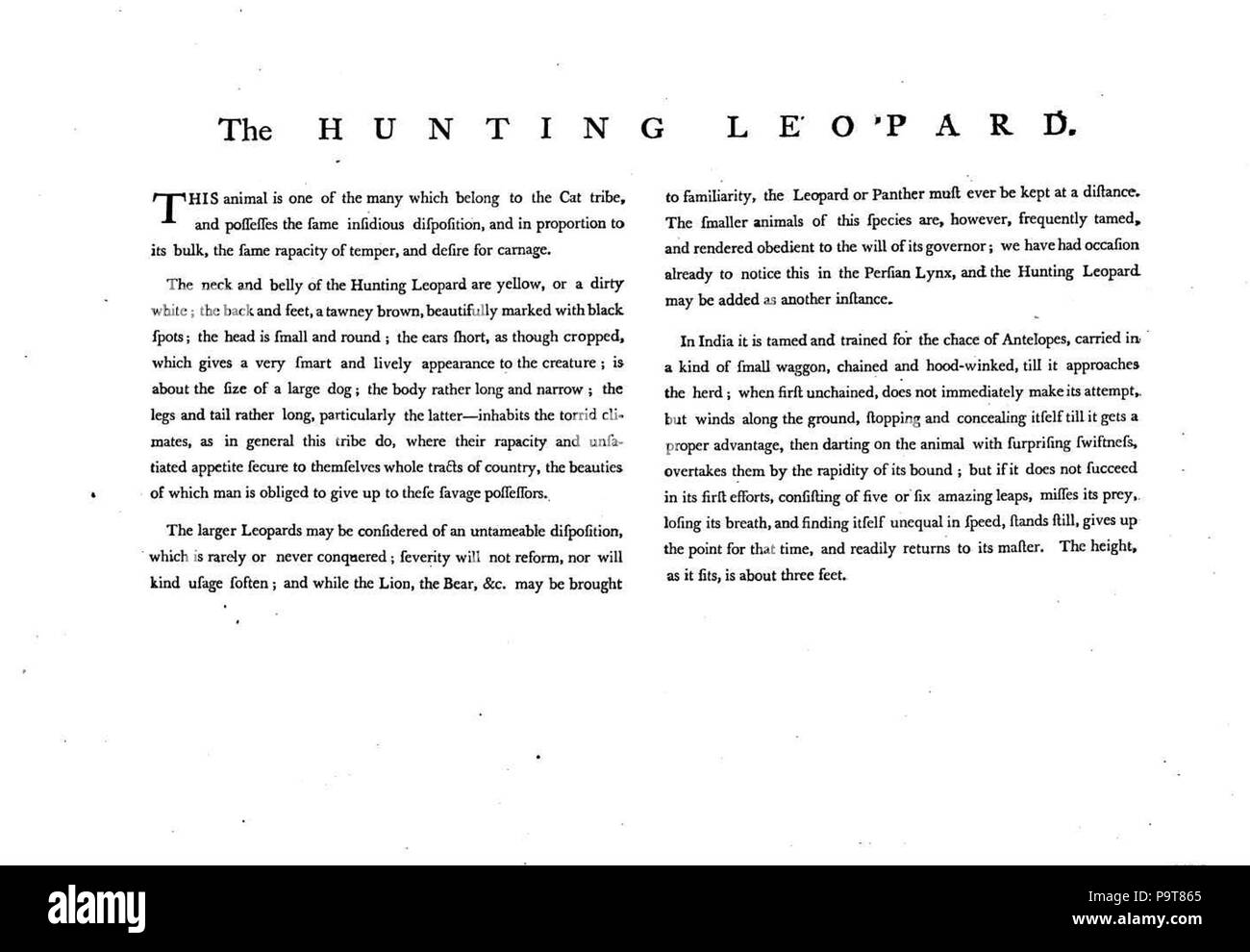 297 Charles Catton, les animaux (1788) Page11 Image1 Banque D'Images