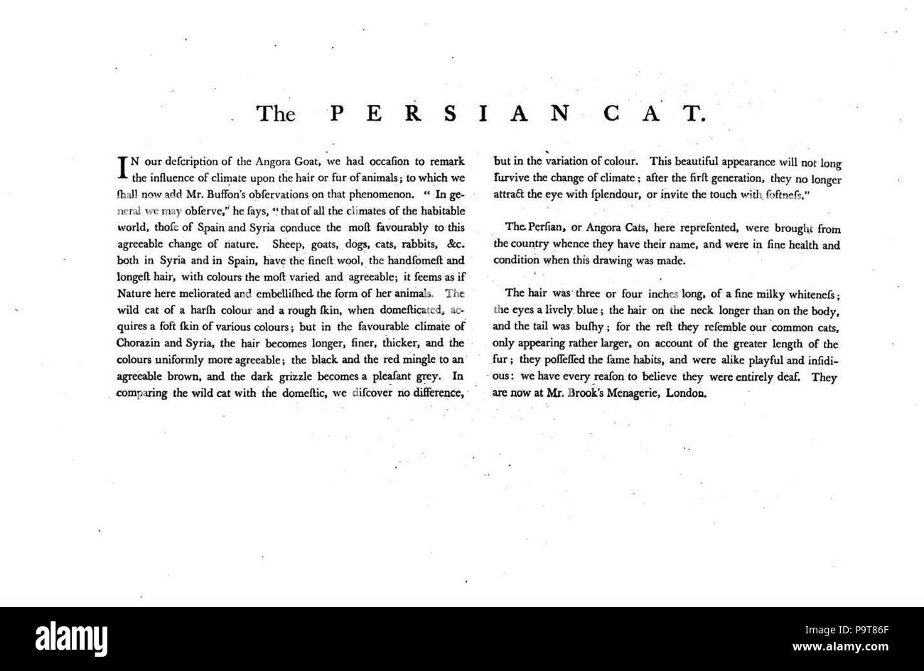 297 Charles Catton, les animaux (1788) Page19 Image1 Banque D'Images