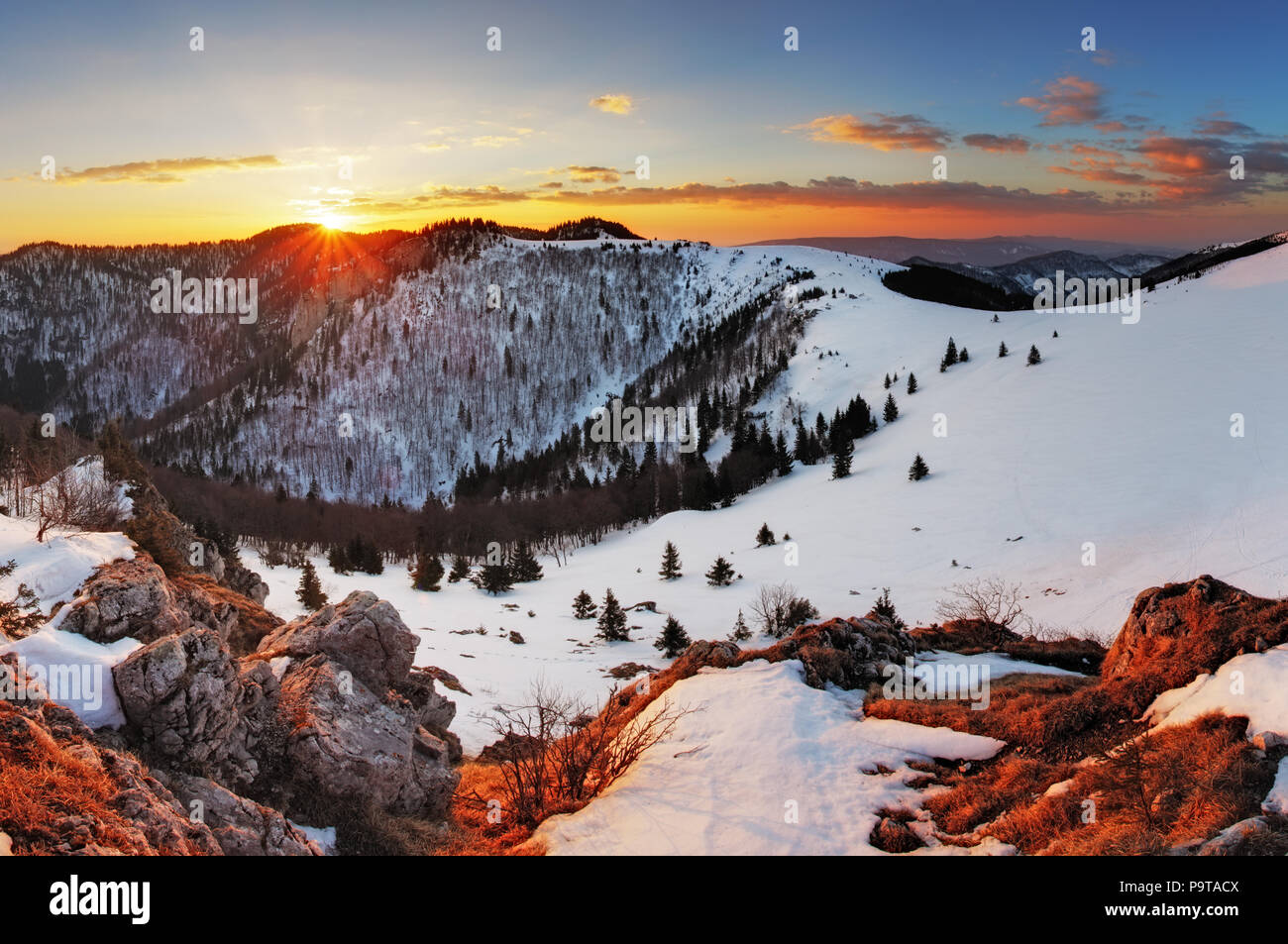 Paysage de montagne Hiver Panorama - Slovaquie Banque D'Images