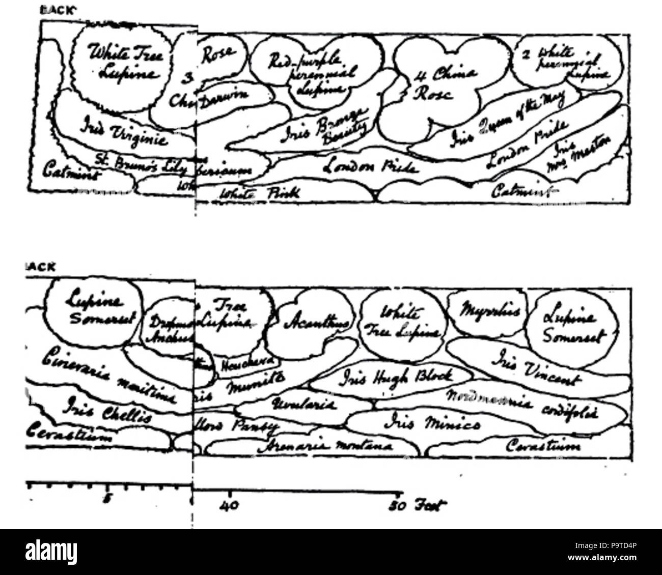338 La couleur dans le jardin de fleurs42 Banque D'Images