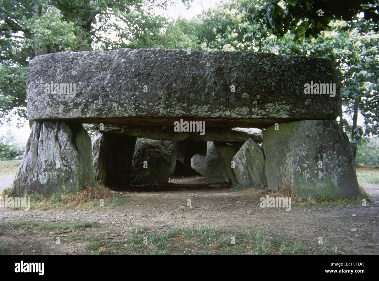 France, Bretagne. Esse . La Roche-aux-Fées (Le Faireis' Rock). Passage néolithique tombe. Departament d'Ille-et-Vilaine. Passage couvert de blocs de pierre. 3000- 2500 BC. Banque D'Images