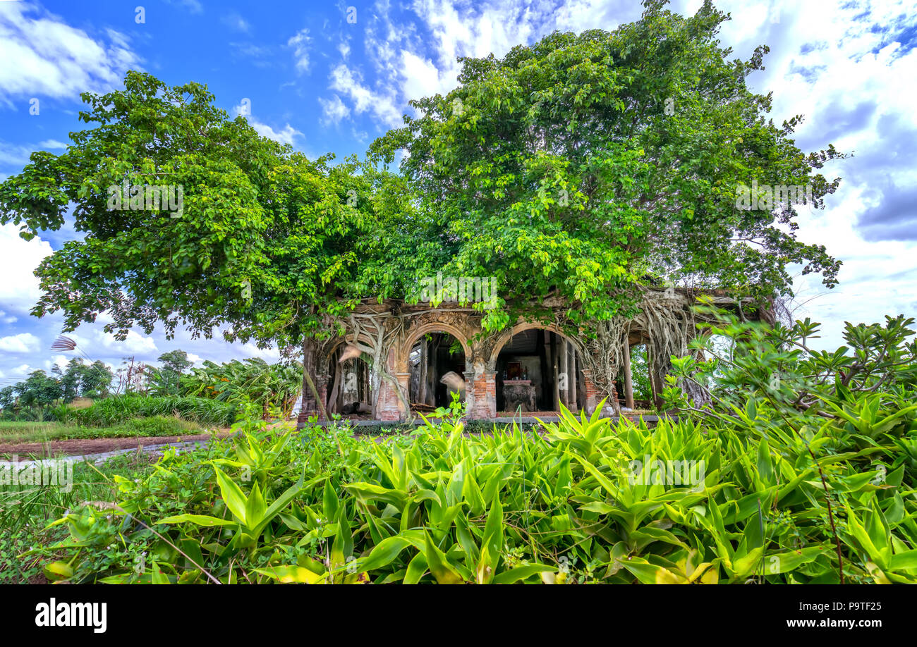 Un ancien temple plein de racines coller Bodhi résister au fil du temps. Le temple est désert mais attire les gens à prendre des photos Banque D'Images