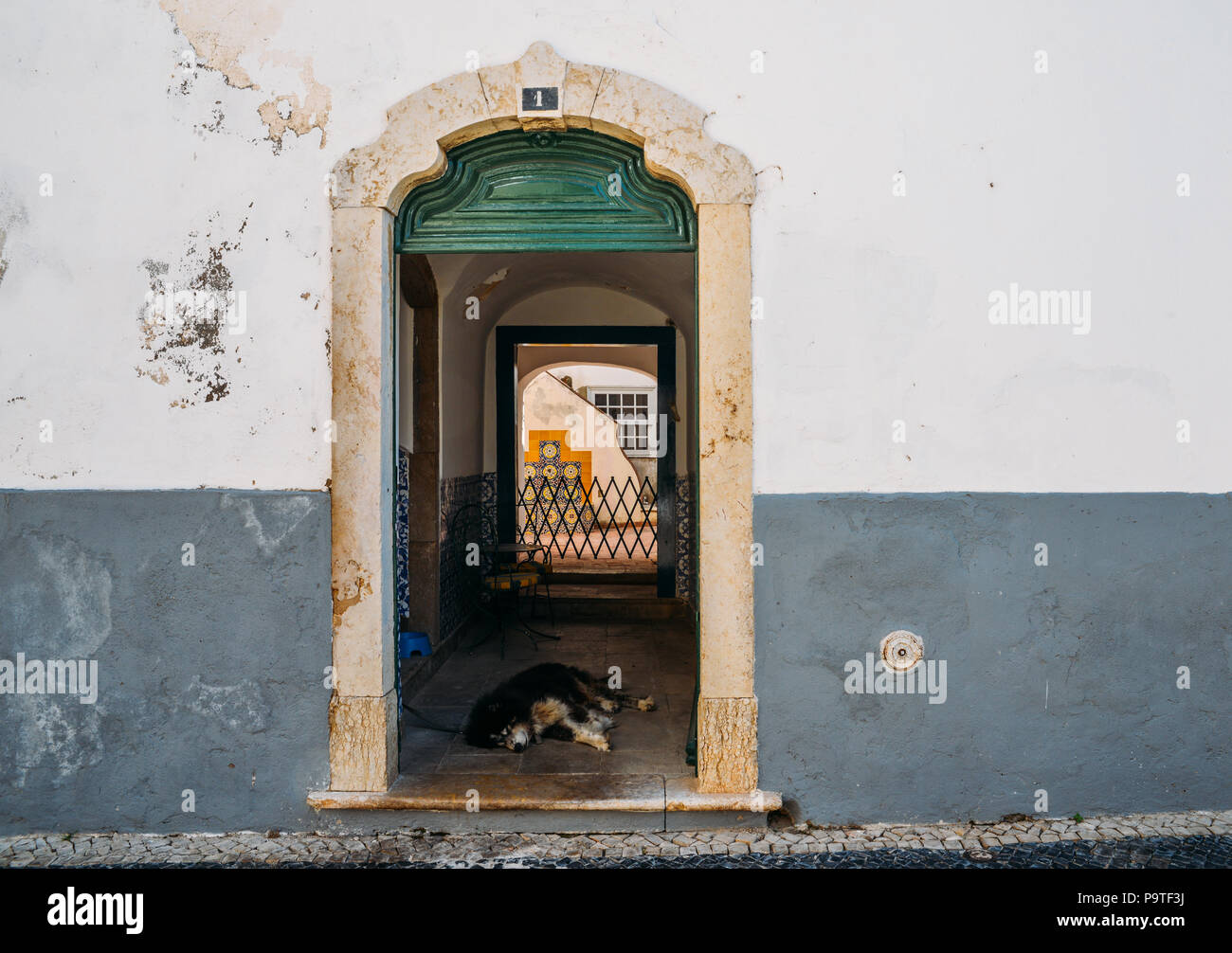 Lazy Dog à porte rustique à Faro, Portugal Banque D'Images