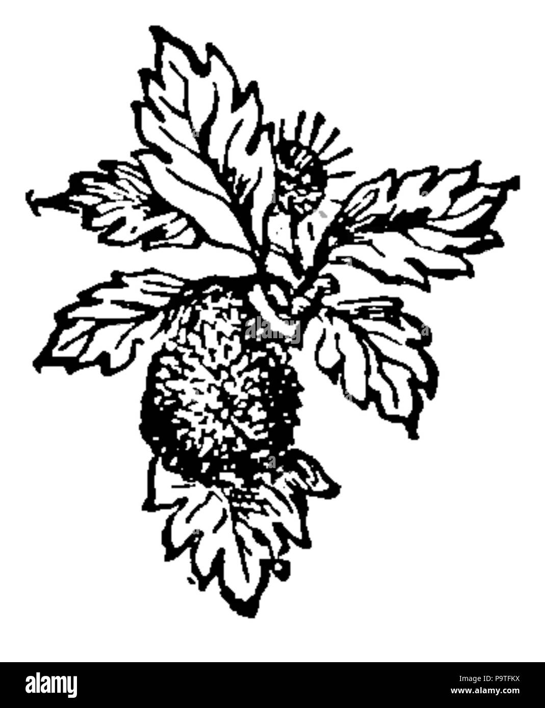 347 Table des matières page décoration, 1--Saxe Holm's stories, Deuxième série Banque D'Images