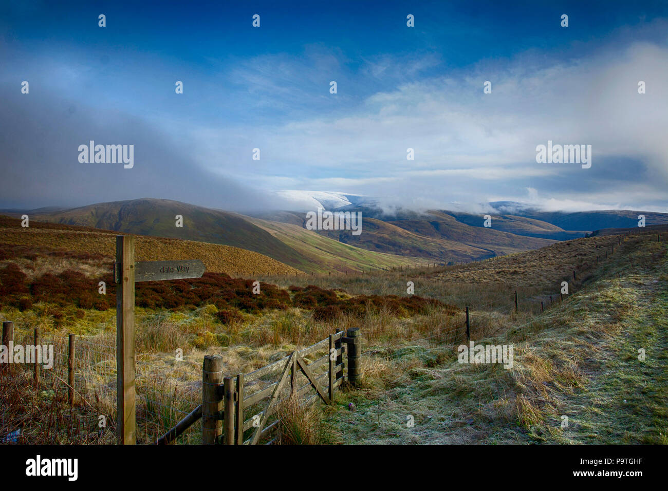 Bain Boeuf Pass, Dumfries et Galloway Moffat Banque D'Images