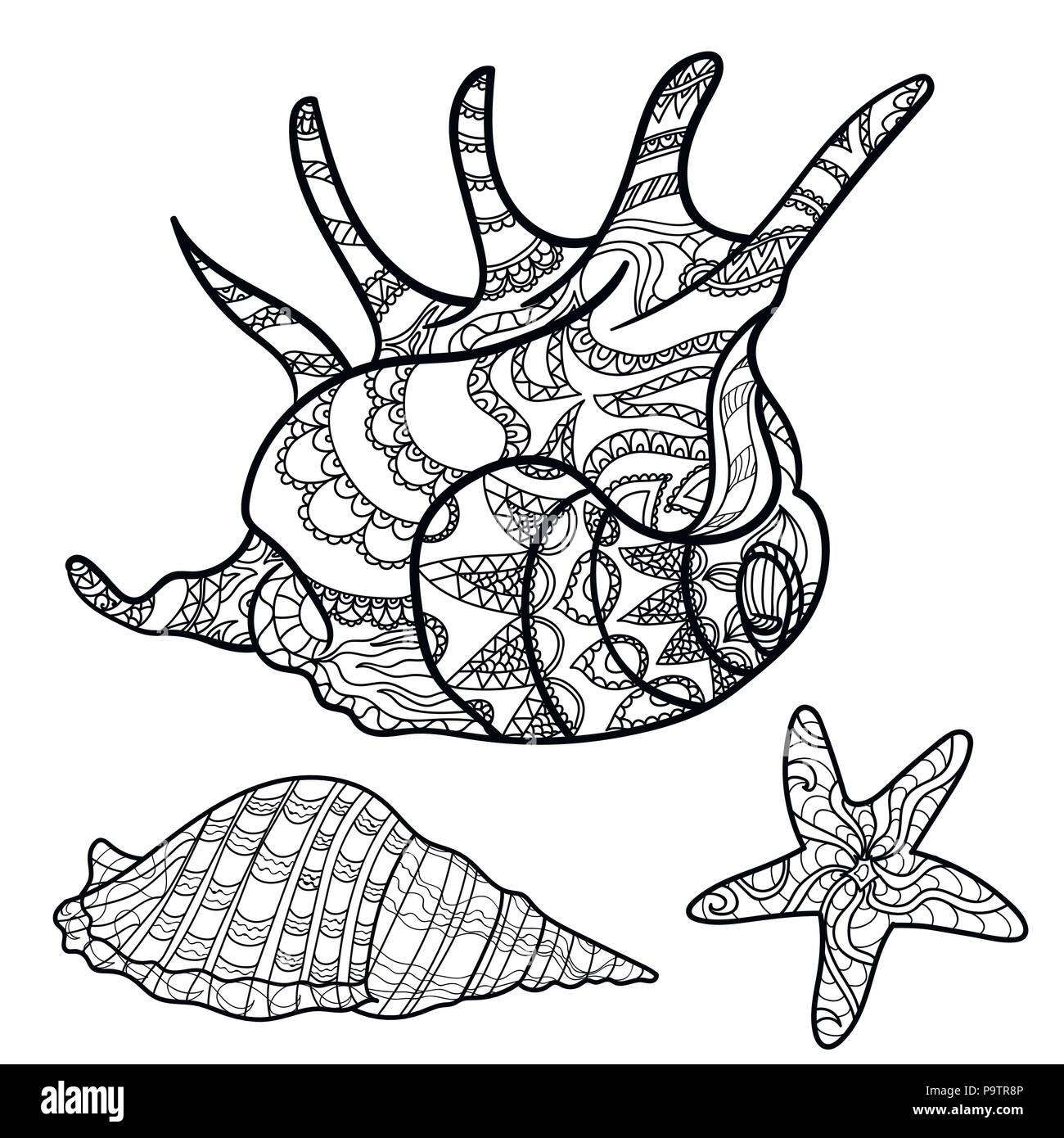 Les coquillages le patron de shell shell jeu livre de coloriage page