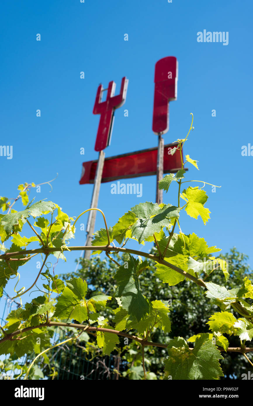 Low angle photographie regardant à travers vignes et sous-bois jusqu'à un vieux restaurant de bord coupé de grand couteau et fourchette rouge Banque D'Images