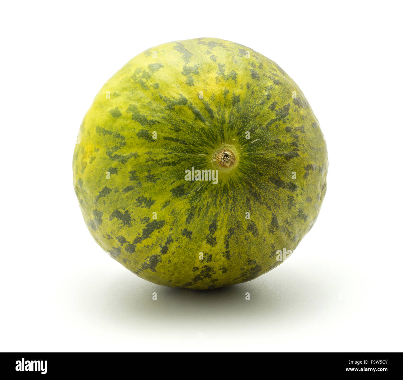 Melon Piel de Sapo (une variété de noël santa claus) isolé sur fond blanc rayé vert écorce externe Banque D'Images