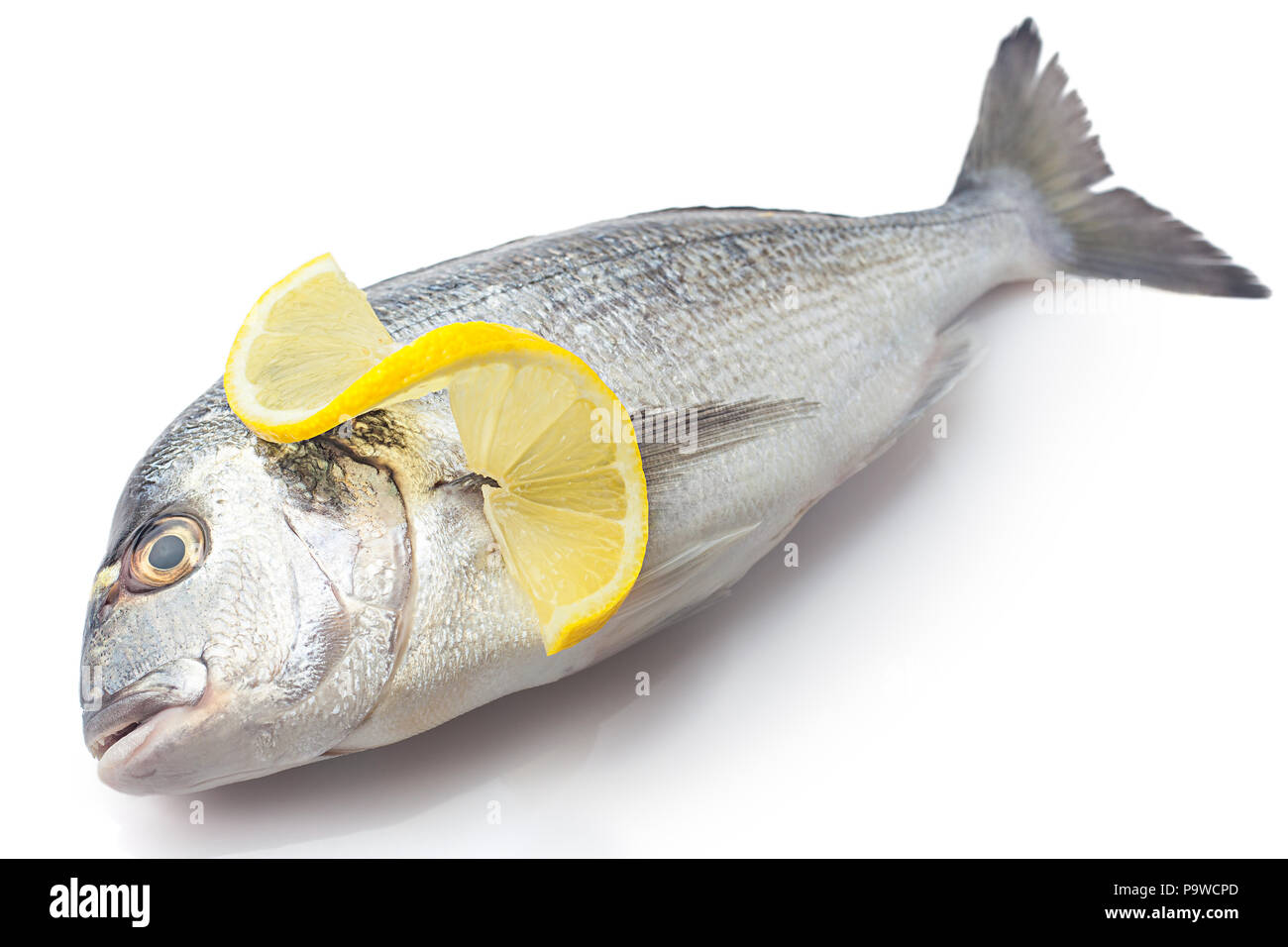 Queue poisson Banque d'images détourées - Alamy