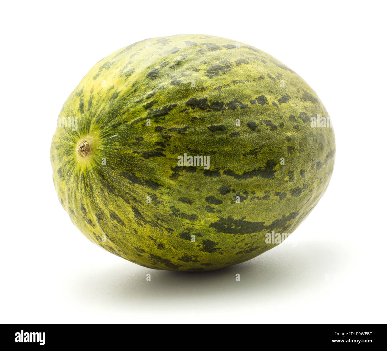 Melon Piel de Sapo (Santa Claus Noël variété) isolé sur fond blanc un ensemble avec rayures vert écorce externe Banque D'Images