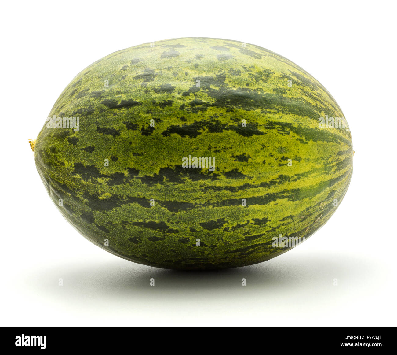 Un melon Piel de Sapo (Santa Claus Noël variété) isolé sur fond blanc rayé vert écorce externe Banque D'Images