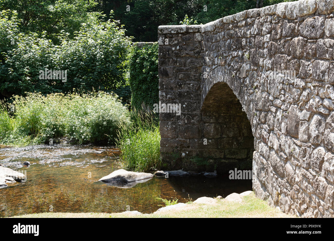 Fingle Bridge enjambant la rivière Teign à la base de Teign Gorge située dans le Dartmoor National Park, Devon, Angleterre, Royaume-Uni Banque D'Images