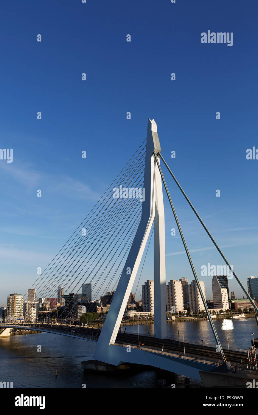 Le Pont Erasmus traverse la Nouvelle Meuse (fleuve) Nouvelle Meuse à Rotterdam, aux Pays-Bas. Le pont a été conçu par Ben van Berkel et ouvert en 19 Banque D'Images