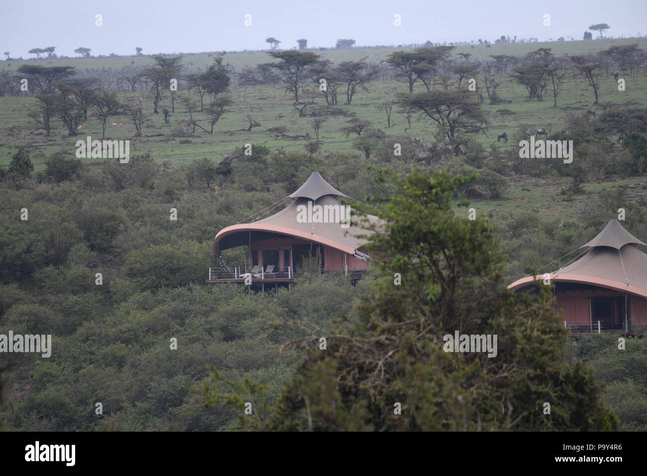 Richard Branson, Virgin, Mahali Mzuri safari camp. Motorogi Olare Conservancy, Masai Mara, Kenya, Afrique de l'Est Banque D'Images