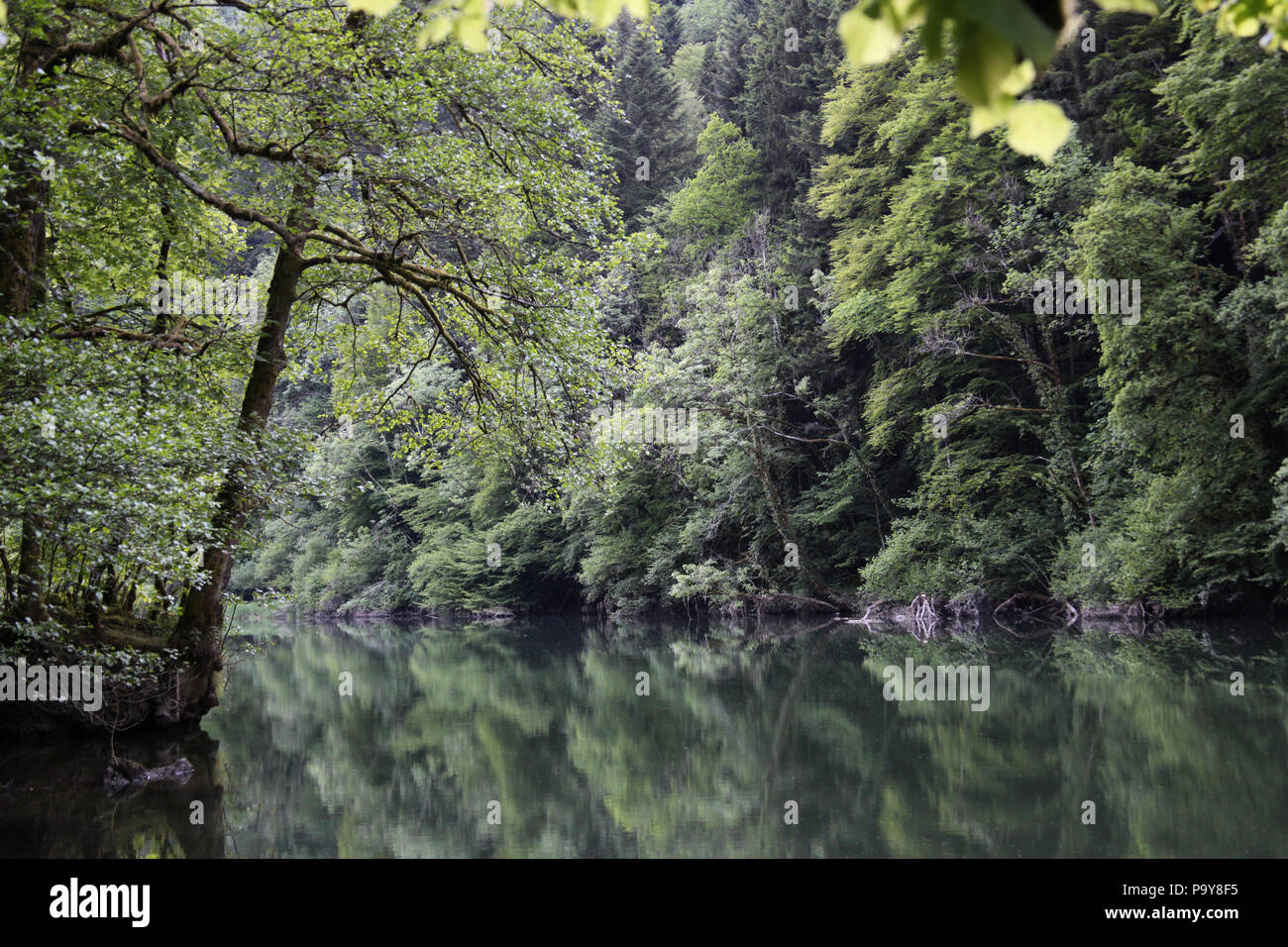 Vue depuis le restaurant du Theusseret du Doubs, Jura en Suisse. Banque D'Images