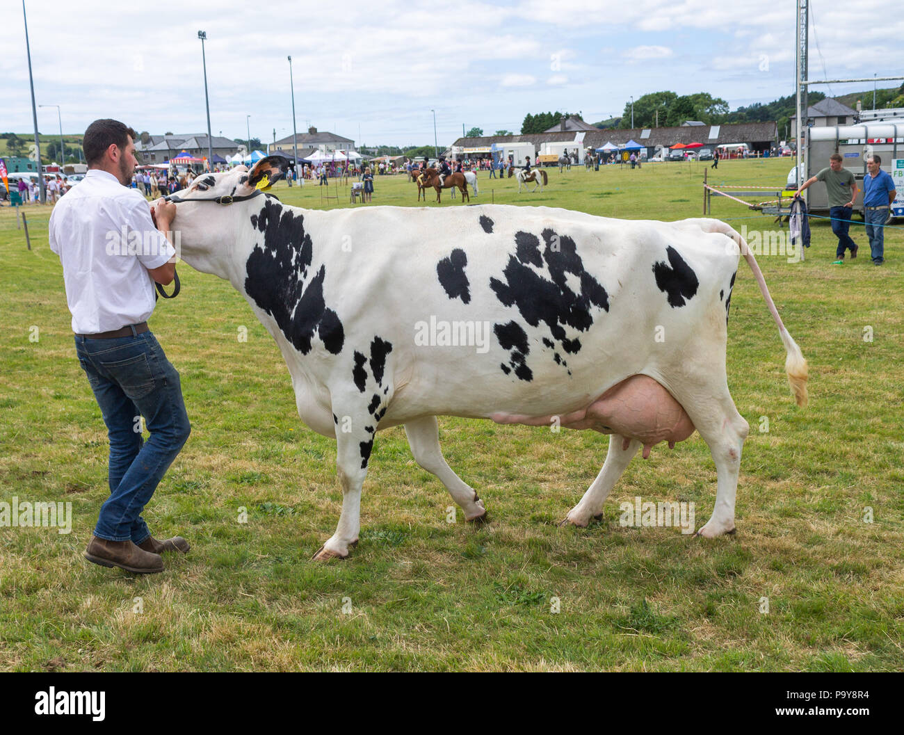 Bovins rural et spectacle de chevaux et de bétail de la concurrence dans l'ouest de Cork, Irlande Banque D'Images