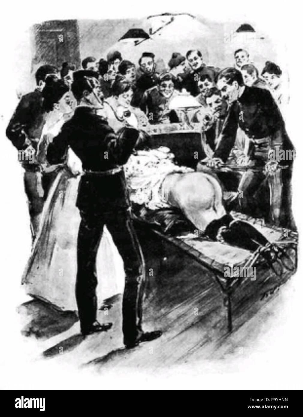 584 Don Brennus 2 Banque D'Images