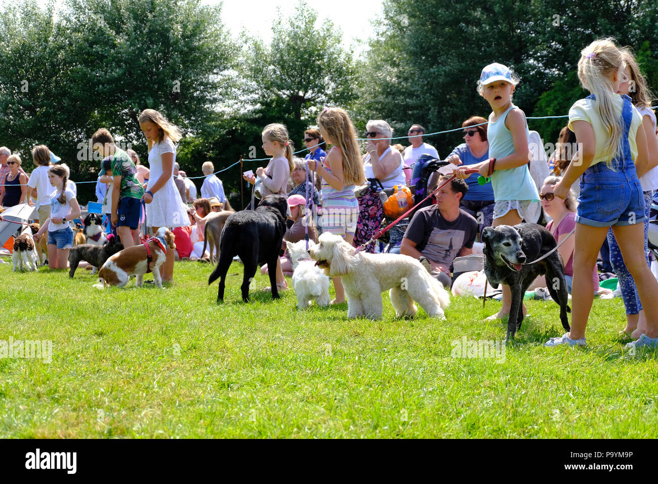 East Preston, West Sussex, UK. Fun dog show tenu le village vert - en attente pour les enfants de montrer leurs chiens de compagnie, y compris un vieux chien à trois pattes Banque D'Images