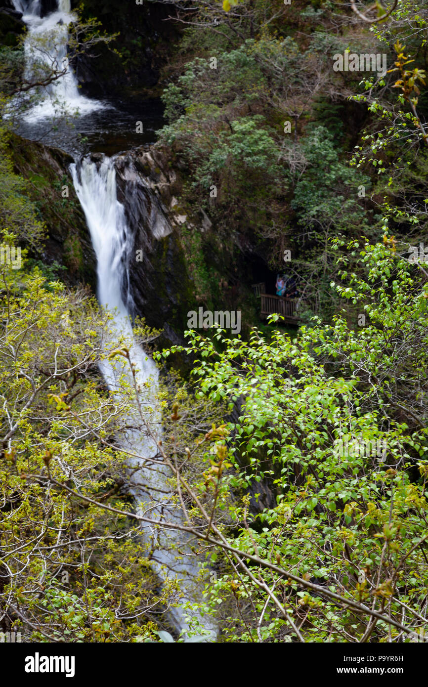 Devil's Bridge Falls - Rhaeadrau Pontarfybach - Ceredigion, pays de Galles, Royaume-Uni Banque D'Images