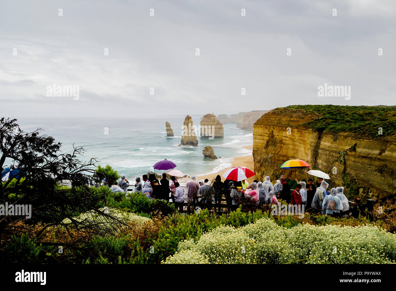 Pluie et humide à l'affût au douze Apôtres des formations de roche calcaire par la Great Ocean Road, Victoria, Australie Banque D'Images