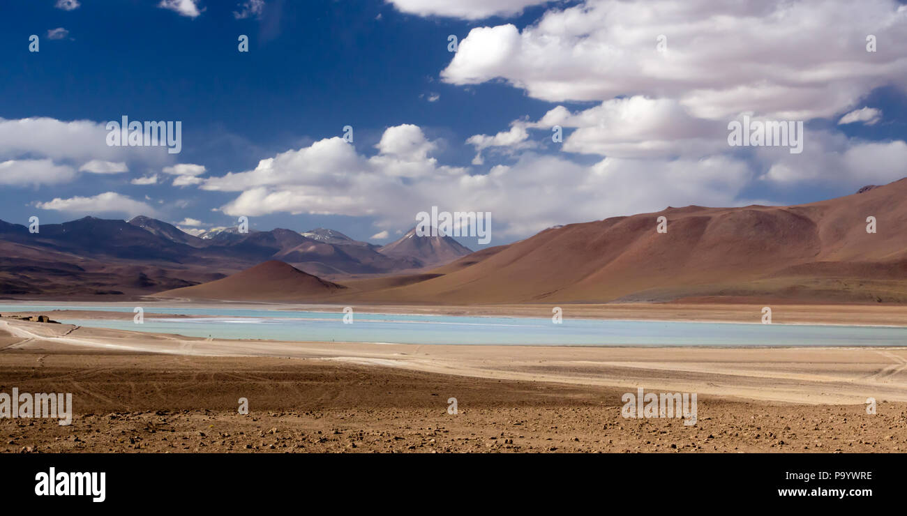 Laguna Blanca dans l'altiplano bolivien Banque D'Images