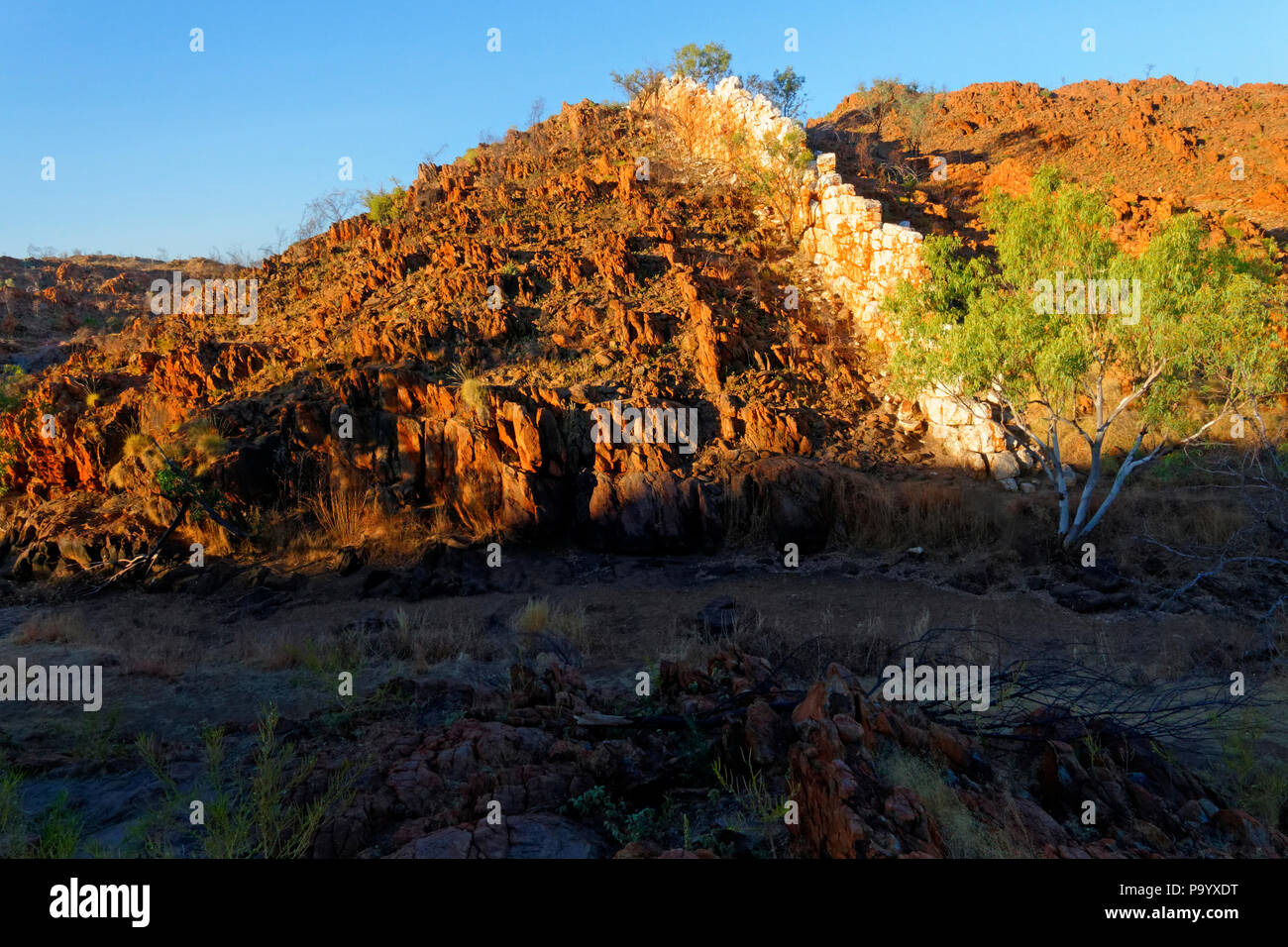 La Chine, un mur vertical sous veine de quartz qui dépassent de la terre, Halls Creek, Kimberley, au nord-ouest de l'Australie Banque D'Images