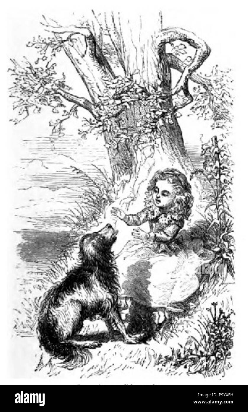 712 fille et son toutou Banque D'Images