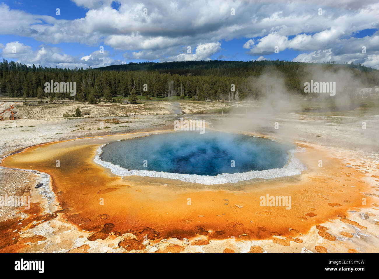 Piscine Crest dans Yellowstone NP Banque D'Images