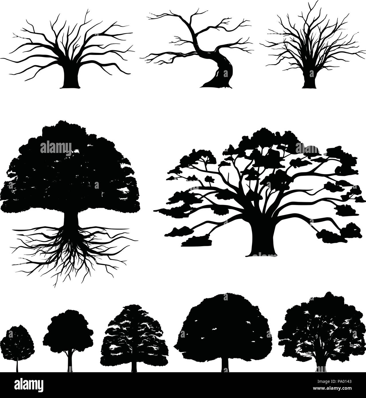 Oak Tree Silhouette Illustration détaillée et naturelle Illustration de Vecteur