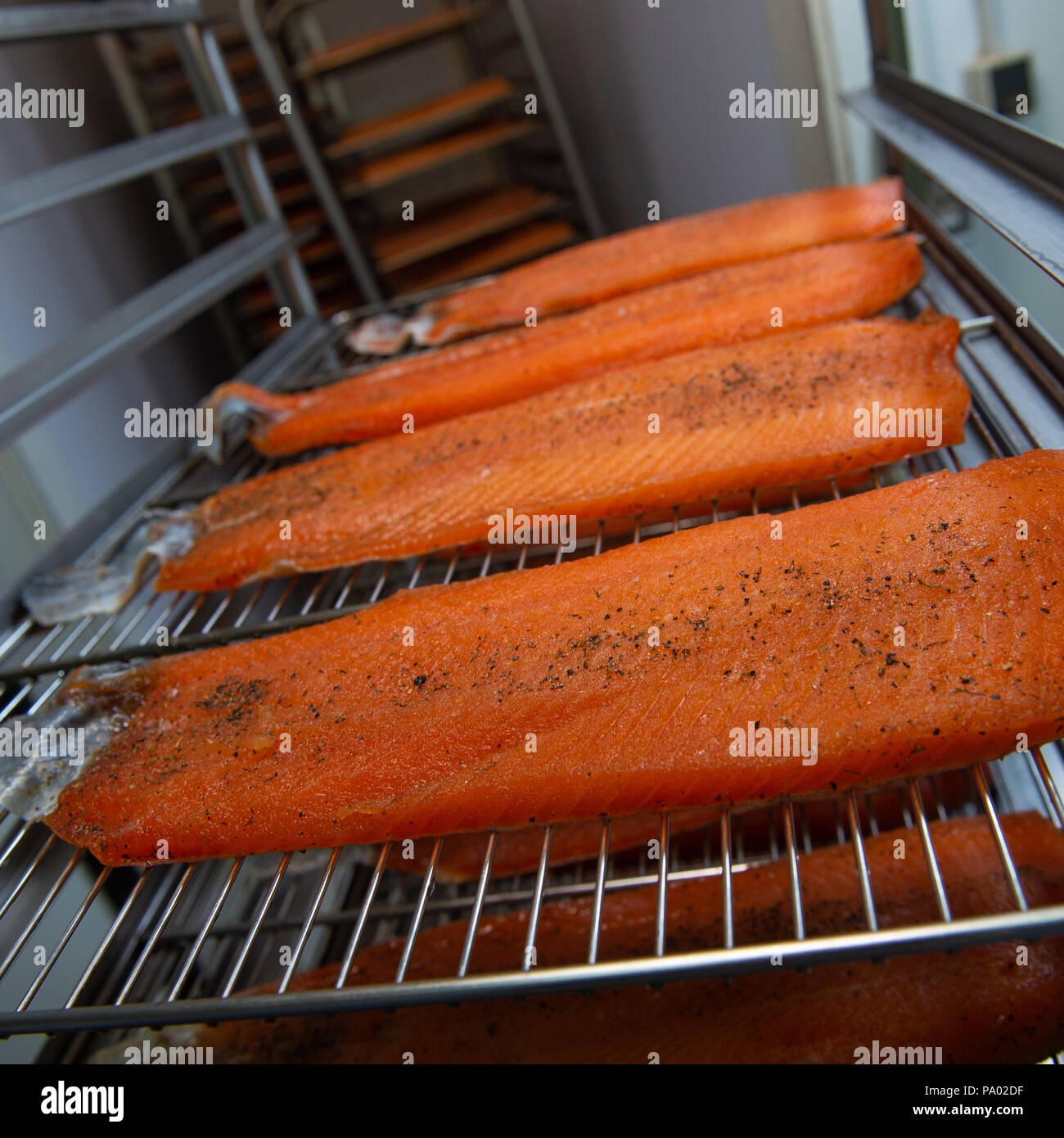 Filet de truite dans le four de fumer, France, Europe Banque D'Images