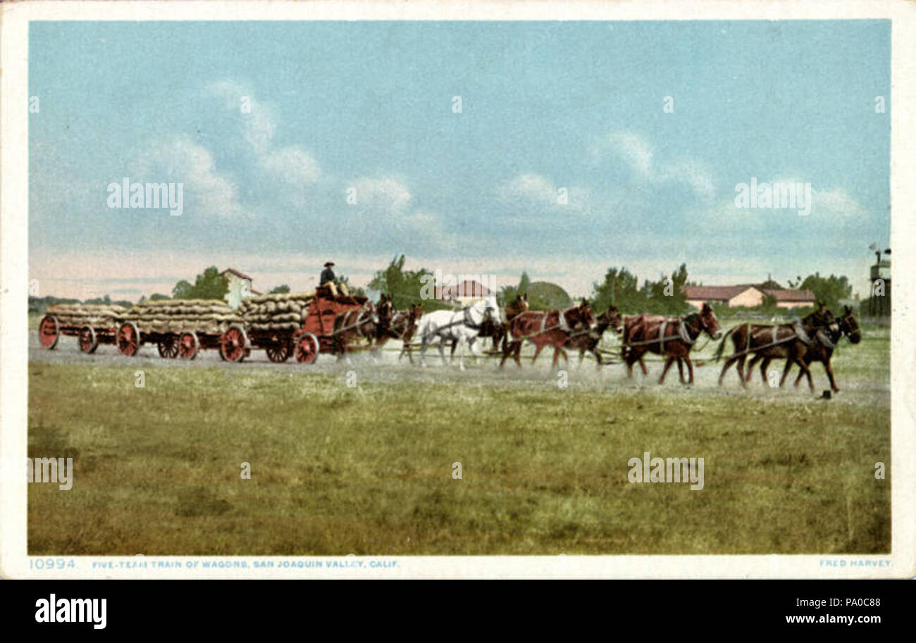 654 L'équipe de cinq wagons de train, vingt chevaux, exploitants et l'équipe de cinq trains wagon chargé avec... (Nen 7366) Banque D'Images