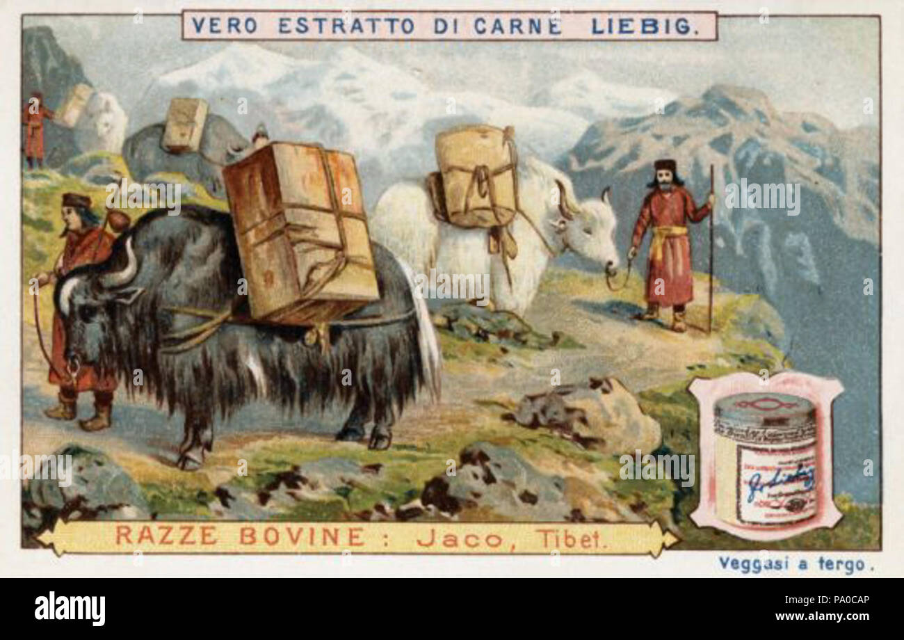 . I - La publicité pour l'extrait de viande Liebig . Fleischextrakt vers 1900 655 0002773 m Banque D'Images