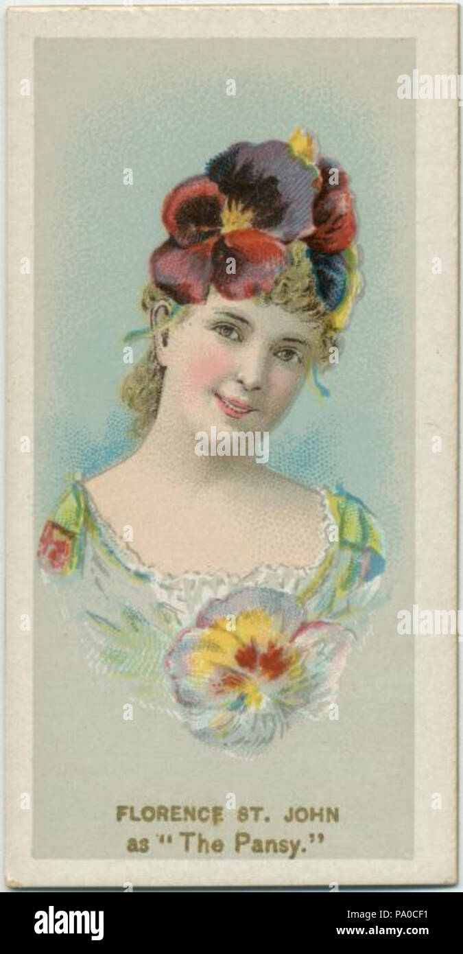 656 St John Florence comme Pansy Banque D'Images