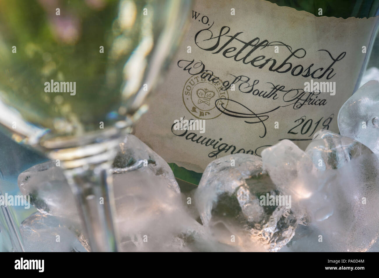 Stellenbosch Afrique du Sud vin blanc Sauvignon blanc bouteille dans un seau glacière avec verre à vin dans une situation de jardin ensoleillée en plein air Banque D'Images