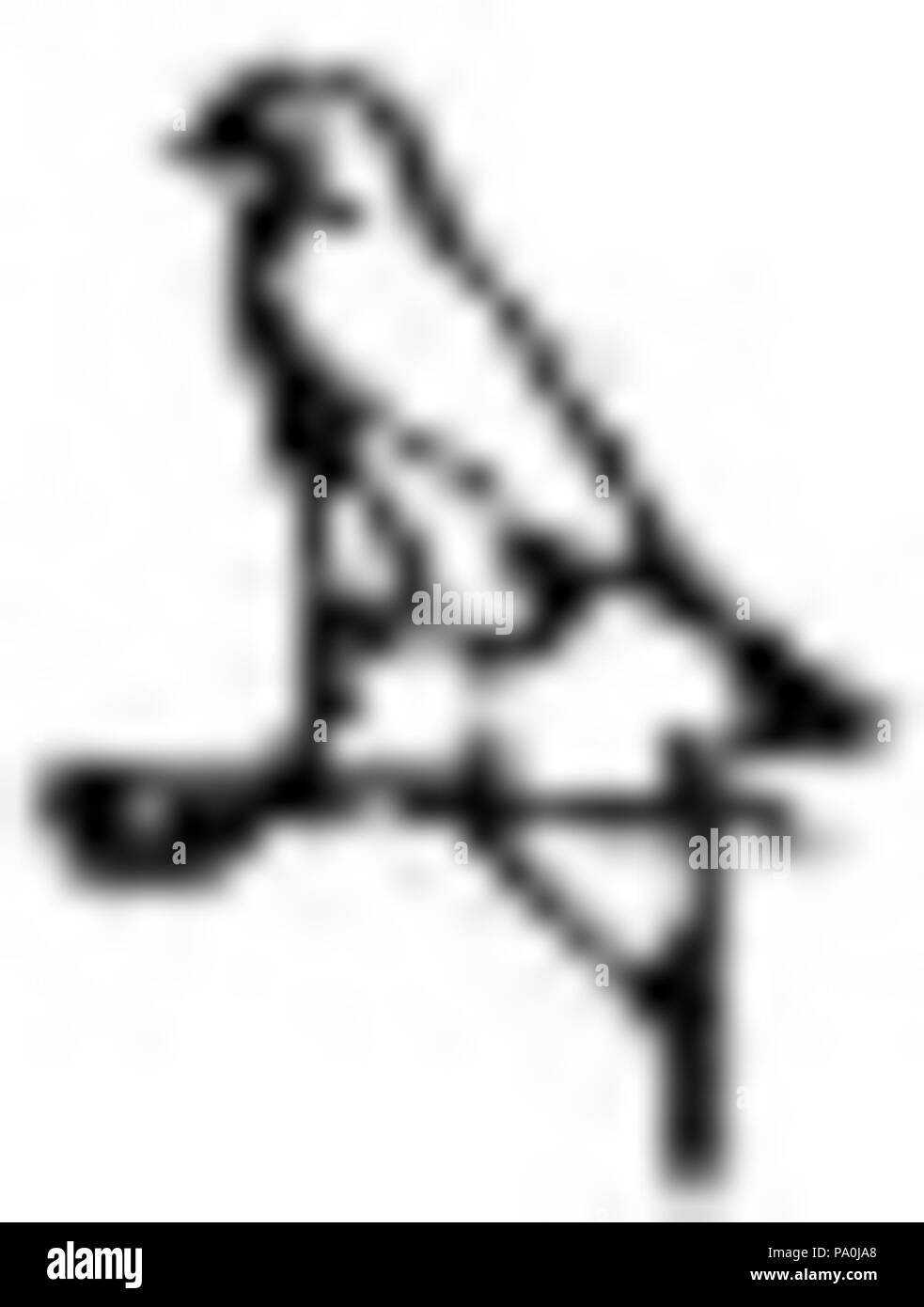 601 EB1911 - Horus 2 Banque D'Images