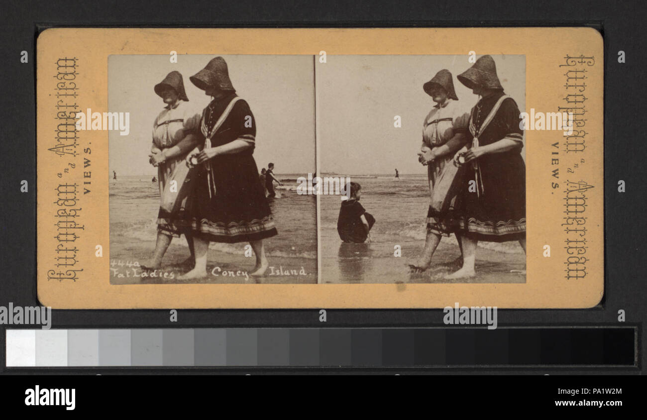 Fat 641 Mesdames, Coney Island (NYPL b11708030-G91F177 030F) Banque D'Images