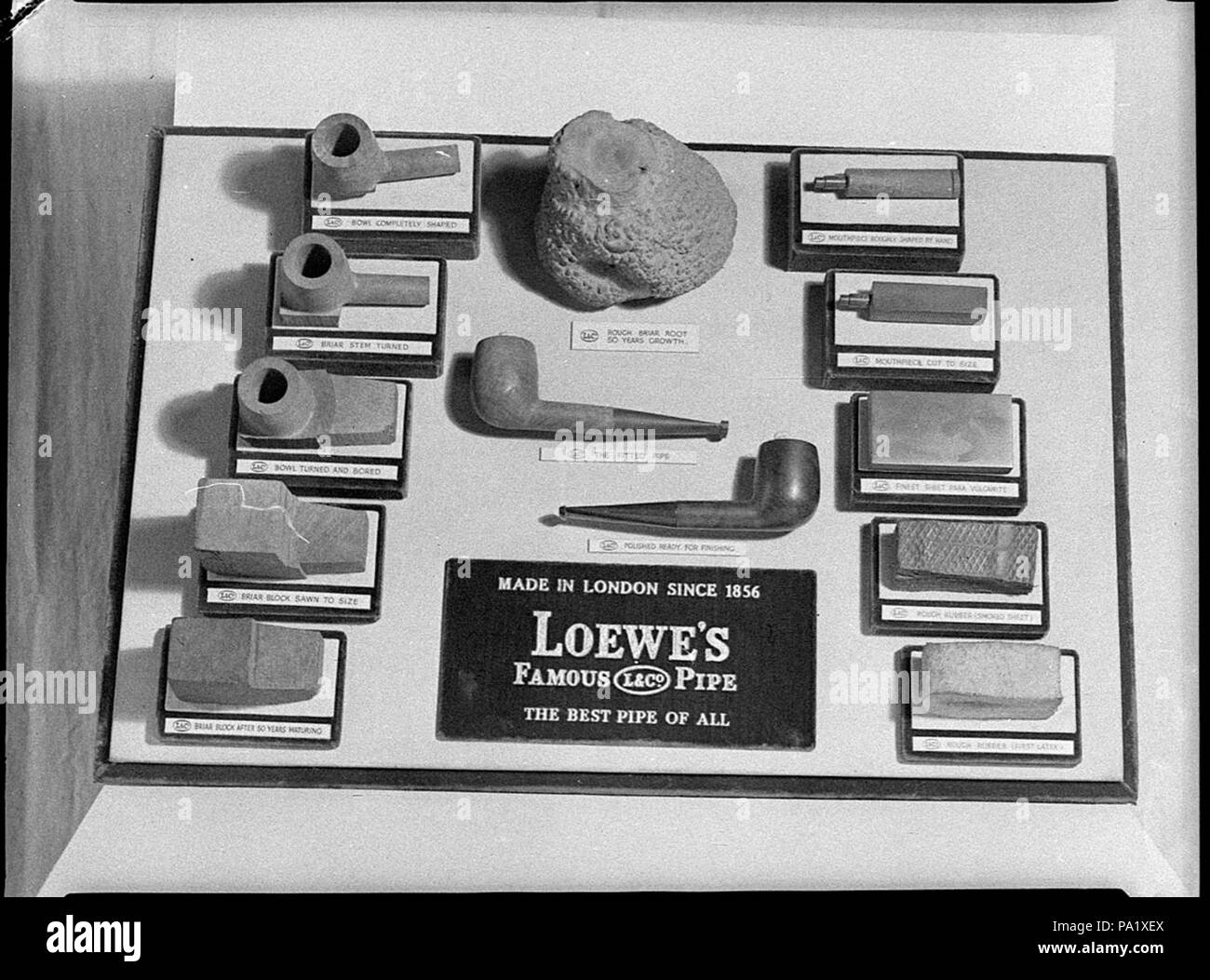 253 29047 SLNSW McGee Tobacconist Pitt Street Banque D'Images