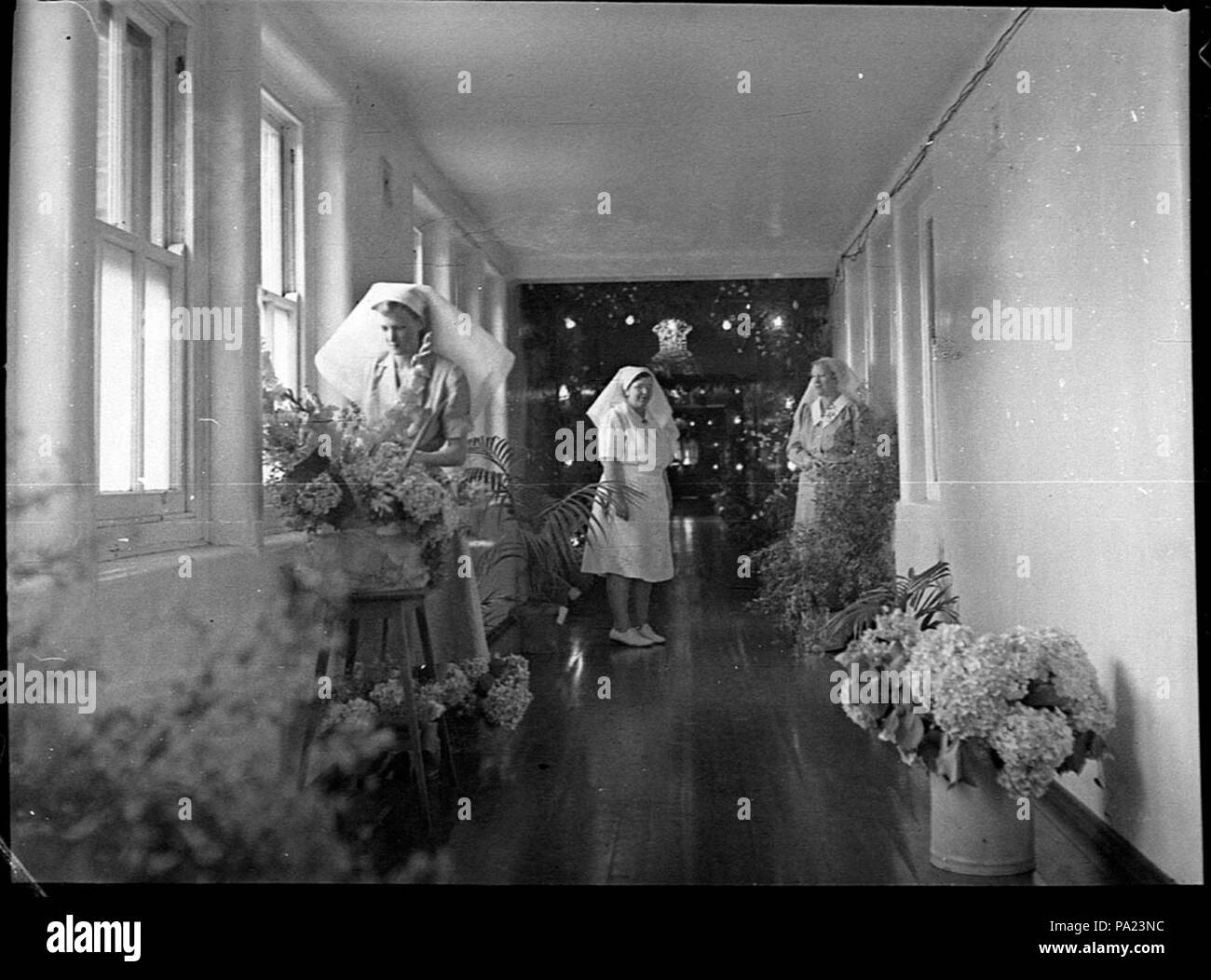 27685 SLNSW 251 hôpitaux de jour de Noël Banque D'Images