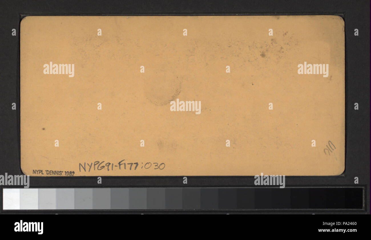 Fat 641 Mesdames, Coney Island (NYPL b11708030-G91F177 030B) Banque D'Images