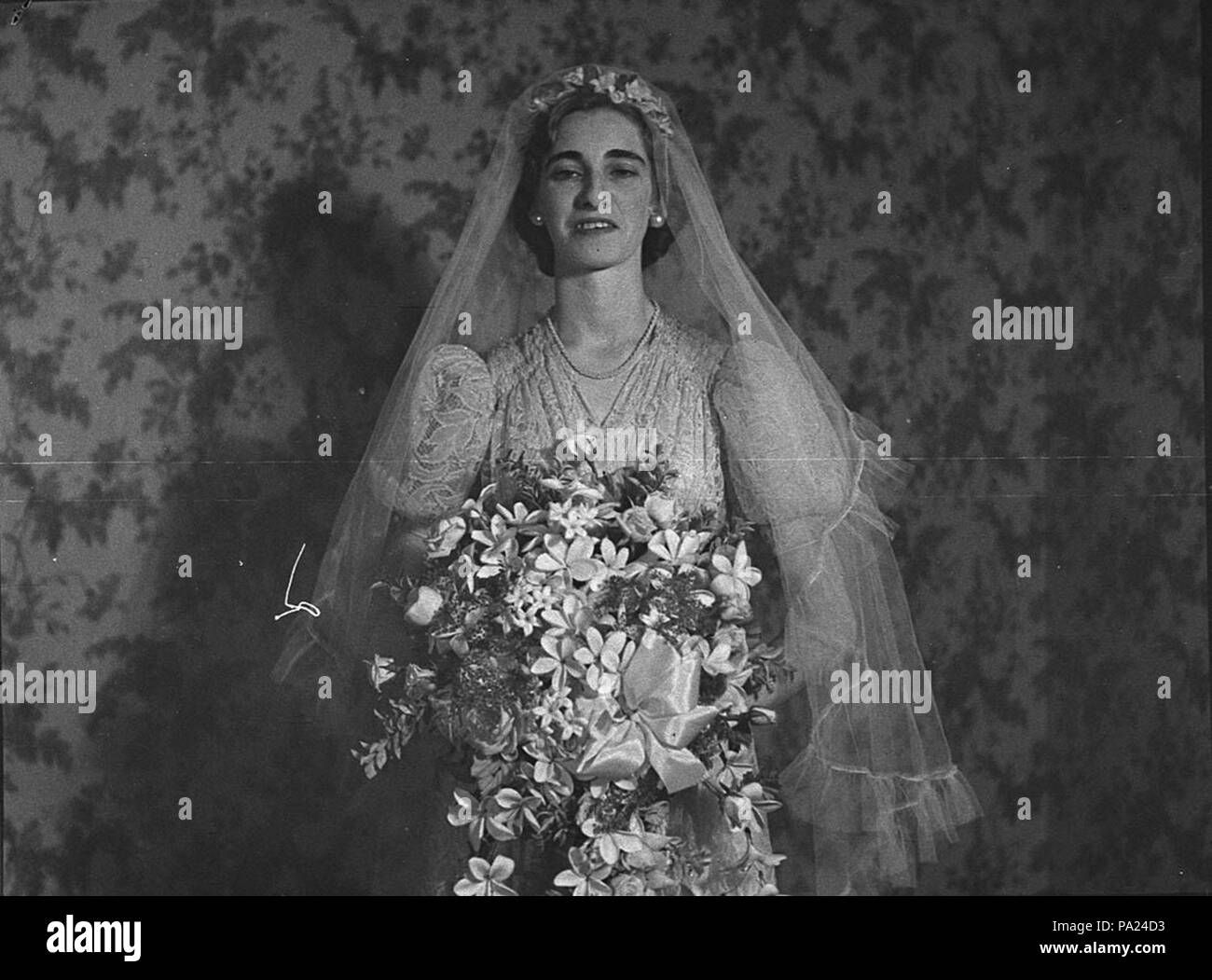 26777 FrenchLyons SLNSW 250 Doncaster mariage Kensington Ave Banque D'Images