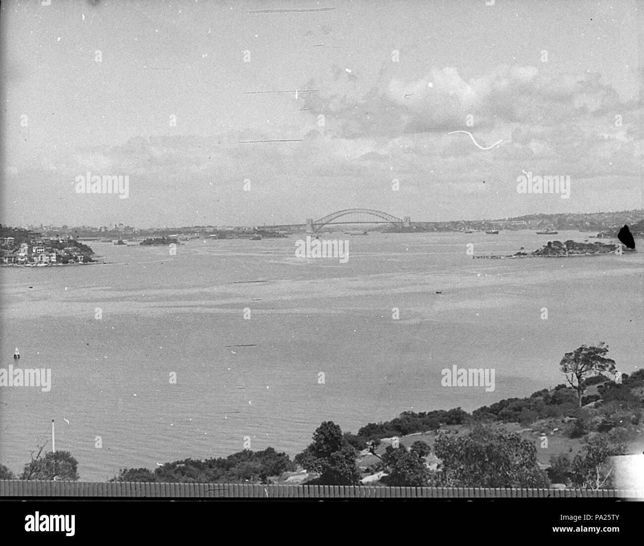 260 35149 SLNSW Le Port de Sydney de Rose Bay Banque D'Images