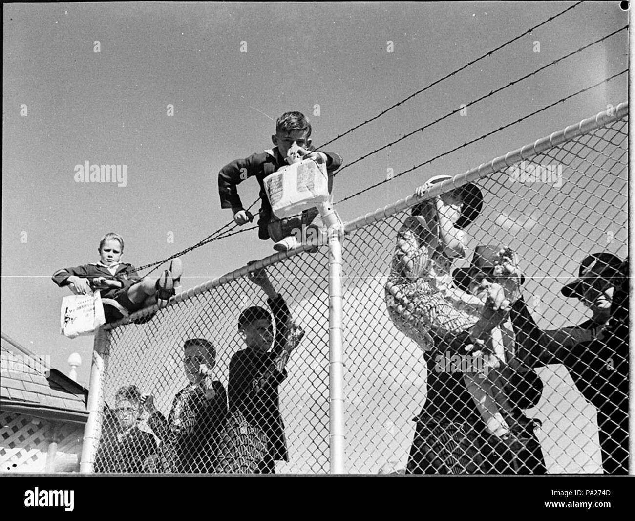 261 36030 SLNSW Royal Agricultural Show Banque D'Images