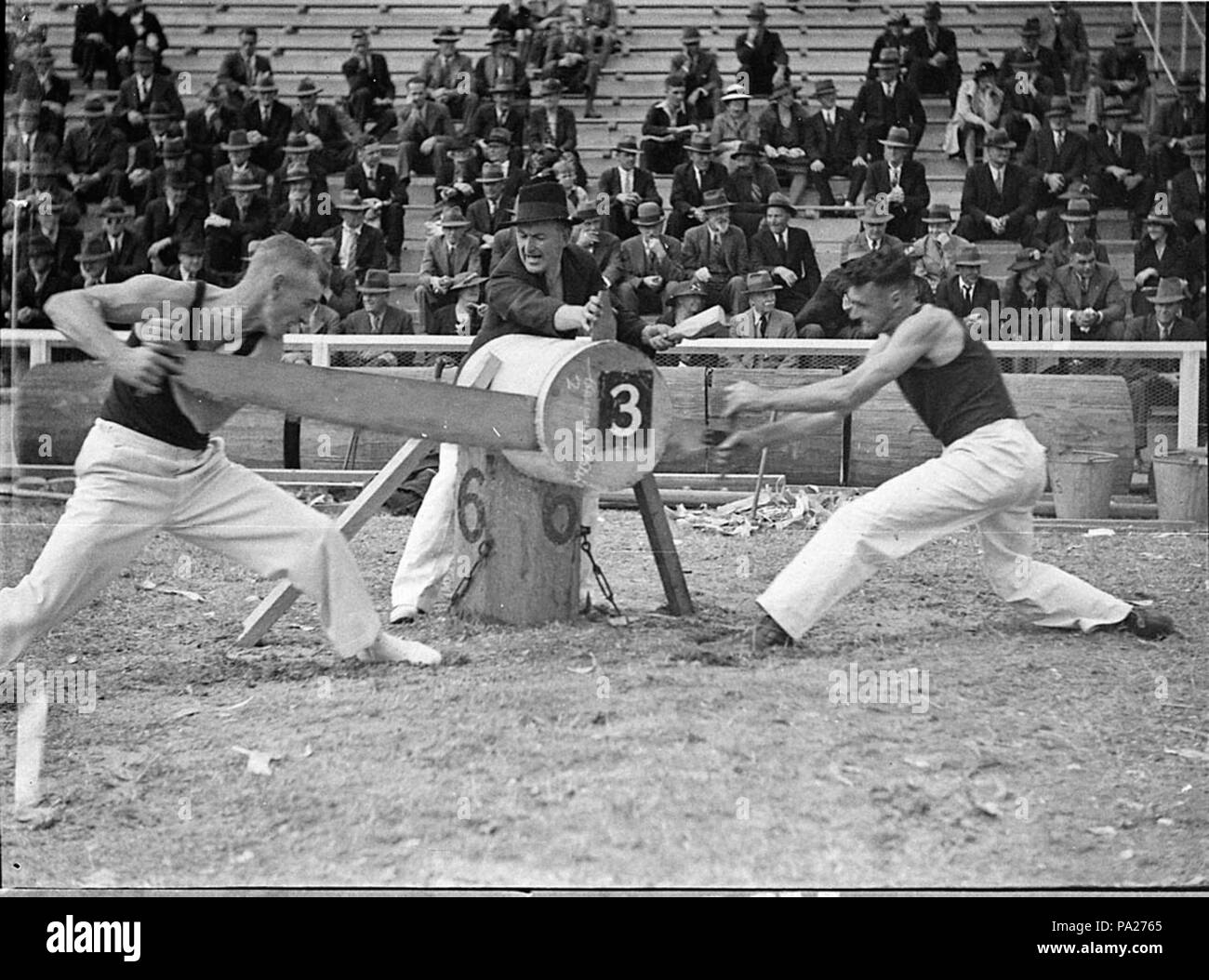 SLNSW 239 131581 Royal Agricultural Show Banque D'Images