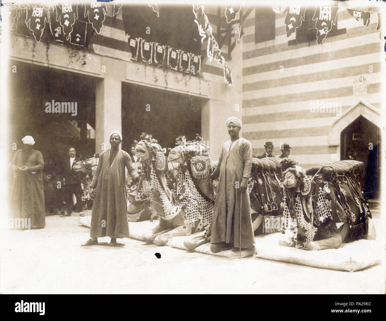 268 chameaux et de leurs accompagnateurs à un stand de chameaux dans les rues du Caire de la Pike à la foire mondiale de 1904 Banque D'Images