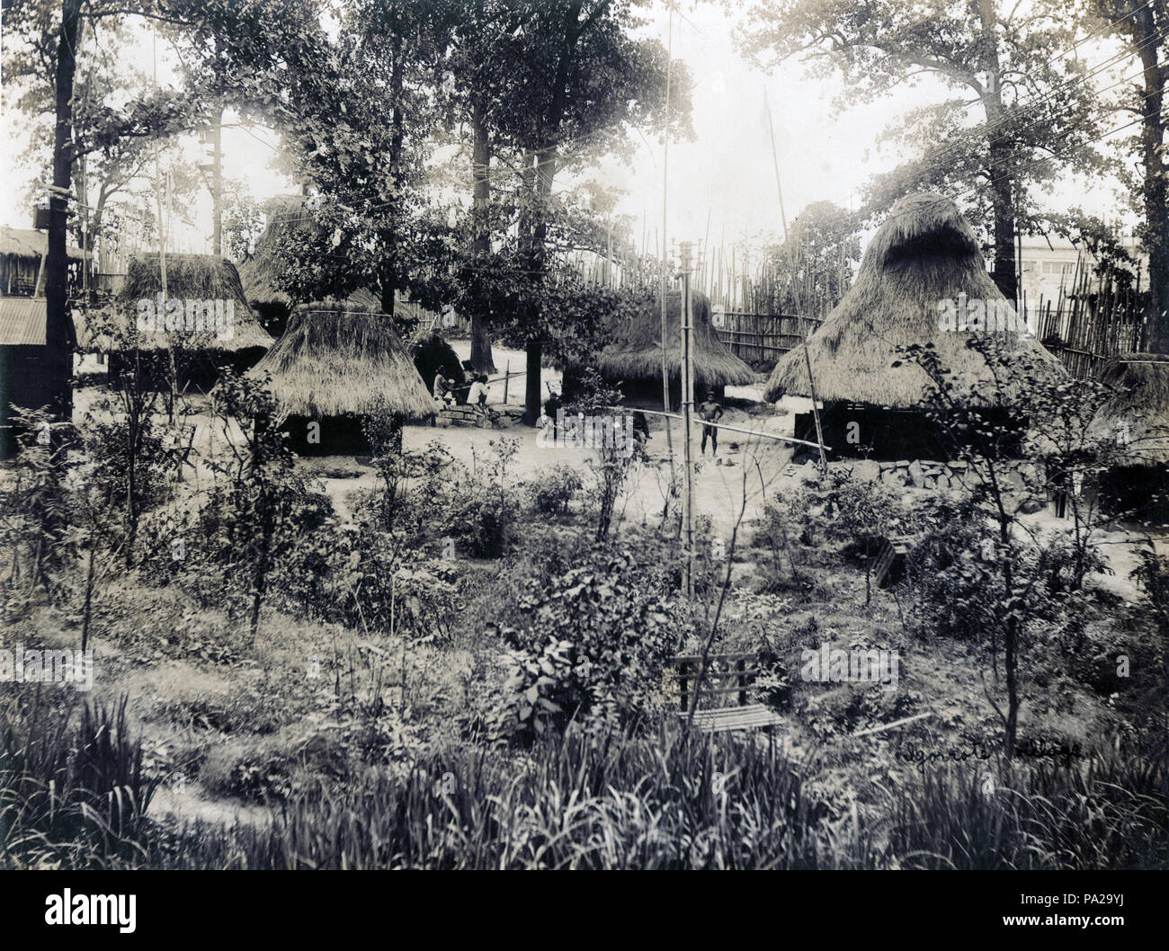 3 "Igorrote Village." (Philippine Réservation, Département d'anthropologie de l'Exposition Universelle 1904 Banque D'Images