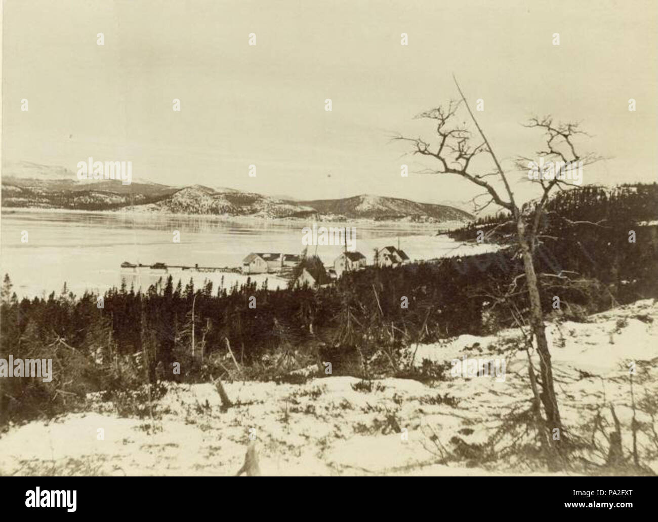 . Anglais : Photographie, Davis Inlet, Labrador, T.-N., vers 1890, les sels d'argent sur papier monté sur carton - phototypie - 12,3 x 17 cm English : Photographie, Davis Inlet, Labrador, T.-N.-L., vers 1890, les sels d'argent sur papier monté sur carton - papier albuminé - 12,3 x 17 cm . vers 1890 374 Davis Inlet Labrador 1890 Banque D'Images